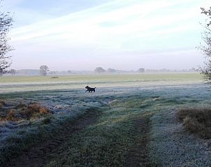 Verblijf 200709 - Vakantiewoning Zuidwest Drenthe - Huisje in Ruinen