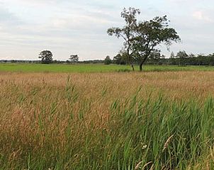 Verblijf 200709 - Vakantiewoning Zuidwest Drenthe - Huisje in Ruinen