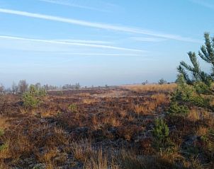Verblijf 200709 - Vakantiewoning Zuidwest Drenthe - Huisje in Ruinen