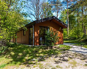 Verblijf 2007115 • Vakantiewoning Zuidwest Drenthe • Wellness Lodge Wood XL 