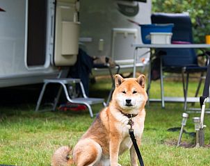 Verblijf 2007116 - Vakantiewoning Zuidwest Drenthe - Hackfort Hottub