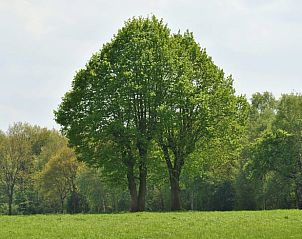 Guest house 200711 - Holiday property Zuidwest Drenthe - Vakantiehuis in Ruinen