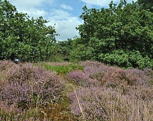 Guest house 200711 - Holiday property Zuidwest Drenthe - Vakantiehuis in Ruinen