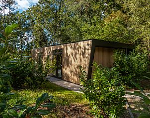 Guest house 2007121 - Holiday property Zuidwest Drenthe - Bosrand Wellness Cabin Premium