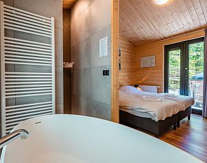 Verblijf 2007159 - Vakantiewoning Zuidwest Drenthe - Vakantiehuis De Wiltzangh - Esborg Wellness Lodge | 2p