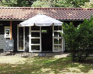 Vrijstaande woning in Ruinen met zonnig terras in Drenthe, omringd door groene natuur en rustgevende omgeving.