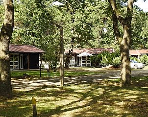 Vrijstaande woning in Ruinen omgeven door groene natuur in Zuidwest Drenthe, perfect vakantiehuis voor rust en ontspanning.