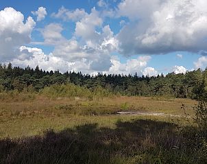 Natuurrijke omgeving bij Vrijstaande woning in Ruinen, vakantiehuis in Zuidwest Drenthe, met uitzicht op uitgestrekte velden en bossen.