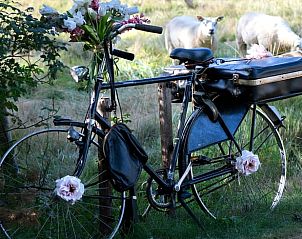 Verblijf 2007170 - Vakantiewoning Zuidwest Drenthe - Vakantiehuisje in Ruinen