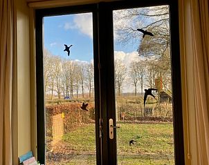 Guest house 2007182 - Holiday property Zuidwest Drenthe - Vakantiehuis in Ruinen