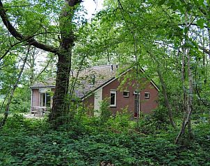 Vakantiehuis in Ruinen omringd door weelderige natuur in Zuidwest Drenthe, perfect voor een rustgevend verblijf in een bosrijke omgeving.