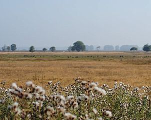 Verblijf 200727 - Vakantiewoning Zuidwest Drenthe - Vakantiehuis in Ruinen