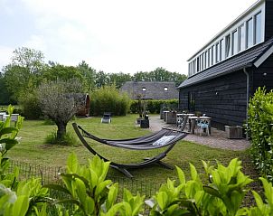 Relax in the garden of Huisje in Ruinen, a cottage in Southwest Drenthe with hammock and terrace surrounded by green nature.