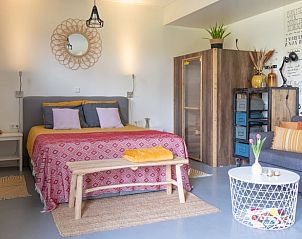 Guest house 200730 - Holiday property Zuidwest Drenthe - Huisje in Ruinen