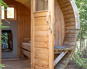 Guest house 200730 - Holiday property Zuidwest Drenthe - Huisje in Ruinen