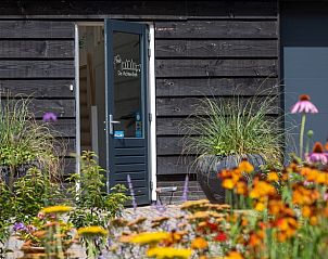 Guest house 200730 - Holiday property Zuidwest Drenthe - Huisje in Ruinen