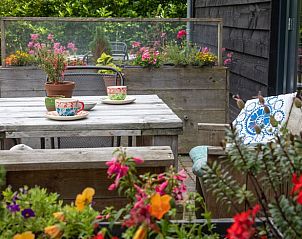 Guest house 200730 - Holiday property Zuidwest Drenthe - Huisje in Ruinen