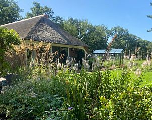 Unterkunft 200731 - Ferienhaus Zuidwest Drenthe - Vakantiehuis in Ruinen