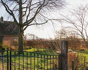 Vakantiehuisje in Ruinen biedt een serene tuin met uitzicht op de natuur in Zuidwest Drenthe, ideaal voor een ontspannen vakantieverblijf.