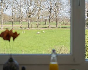 Guest house 200769 - Holiday property Zuidwest Drenthe - Huisje in Ruinen