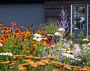 Guest house 200769 - Holiday property Zuidwest Drenthe - Huisje in Ruinen