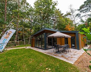Tuin bij Vakantiehuis Just Nature-Hottub, geniet van de groene omgeving in Ruinen, Drenthe.