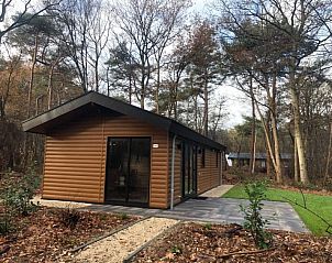 Riant terras bij Vakantiehuis Velthorst Hottub in Ruinen, omgeven door Drentse bossen.