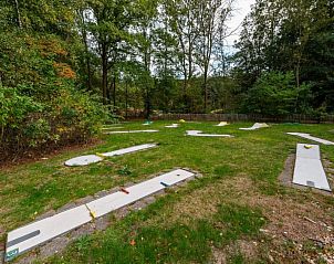 Minigolfbaan bij Vakantiehuis Velthorst Hottub, leuk voor het hele gezin in Ruinen, Drenthe.