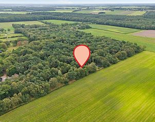Luftaufnahme des Ferienhauses in Ruinen, umgeben von ppigen Wldern und Feldern im Sdwesten von Drenthe, ideal fr Naturliebhaber.