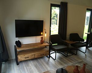 Moderne zithoek met flatscreen-tv in Vakantiehuis Forest Lodge 4, Ruinen, Zuidwest Drenthe voor ontspanning.