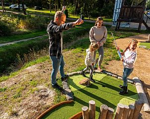 Gezin speelt minigolf bij Vakantiehuis Forest Lodge 4, Ruinen, Drenthe omgeven door groen.
