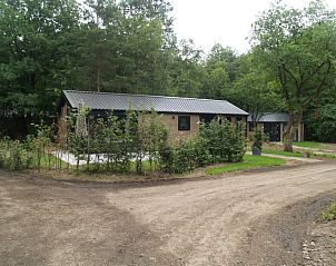 Toegangsweg naar Vakantiehuis Velthorst 4 in Ruinen, Drenthe, omgeven door bomen.