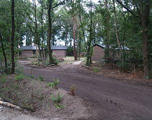 Rustieke omgeving van Vakantiehuis Velthorst 4 in Ruinen, Drenthe met natuurlijke paden.