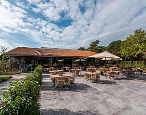 Buitenterras van het restaurant bij Vakantiehuis Velthorst 4 in Ruinen, Drenthe.