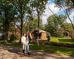 Wandelen in de natuur rondom Vakantiehuis Velthorst 4 in Ruinen, Drenthe.