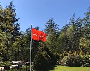 Vlag van Drenthe wappert bij Huisje in Echten, vakantiewoning in Zuidwest Drenthe.