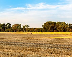 Guest house 201002 - Holiday property Zuidwest Drenthe - Vakantiehuis in Wapserveen