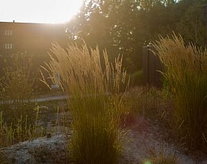 Guest house 201002 - Holiday property Zuidwest Drenthe - Vakantiehuis in Wapserveen