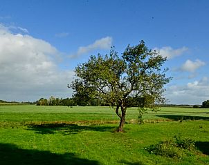 Guest house 201006 - Holiday property Zuidwest Drenthe - Huisje in Wapserveen