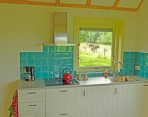 Guest house 201006 - Holiday property Zuidwest Drenthe - Huisje in Wapserveen