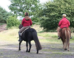 Guest house 201006 - Holiday property Zuidwest Drenthe - Huisje in Wapserveen