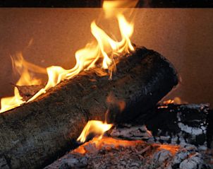 Guest house 201007 - Holiday property Zuidwest Drenthe - Huisje in Wapserveen