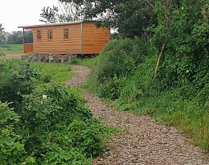 Guest house 201008 - Holiday property Zuidwest Drenthe - Huisje in Wapserveen