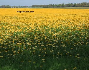 Guest house 201008 - Holiday property Zuidwest Drenthe - Huisje in Wapserveen