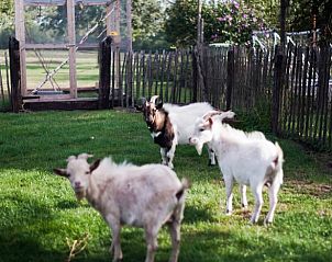 Guest house 201009 - Holiday property Zuidwest Drenthe - Vakantiehuisje in Wapserveen