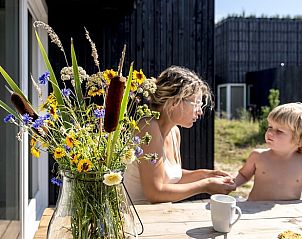 Guest house 201012 - Holiday property Zuidwest Drenthe - Huisje in Wapserveen