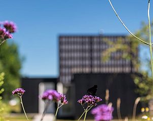 Guest house 201013 - Holiday property Zuidwest Drenthe - Huisje in Wapserveen