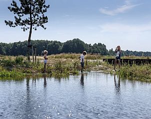 Guest house 201013 - Holiday property Zuidwest Drenthe - Huisje in Wapserveen