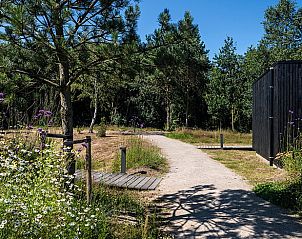 Guest house 201013 - Holiday property Zuidwest Drenthe - Huisje in Wapserveen