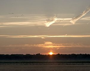 Guest house 201013 - Holiday property Zuidwest Drenthe - Huisje in Wapserveen